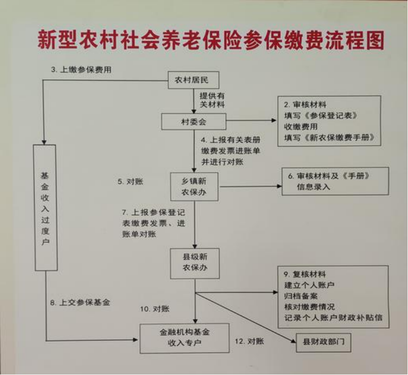 南宁农村医保和社保有什么区别(农村医保跟社保的区别)